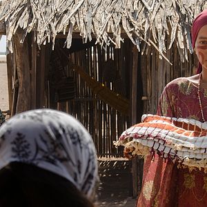 Foto Pássaros de Verão