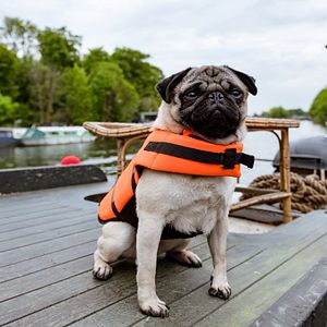 Foto Patrick: Aprendendo a Amar