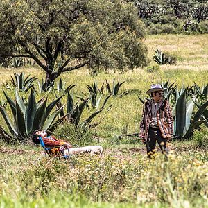 Foto Eu Gosto, Só que Não