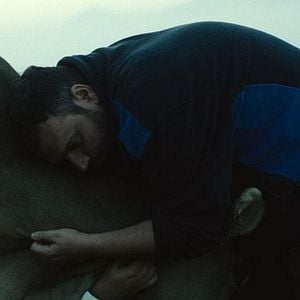 Foto Lessons of Love