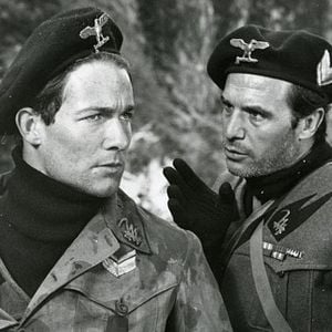 Foto Dilema de um Bravo