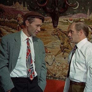 Foto Kalina krasnaya