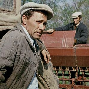 Foto Kalina krasnaya