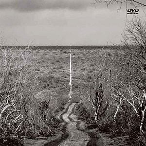 Foto Amores Roubados - O Filme