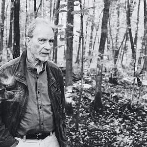 Foto Eight Hundred Times Lonely