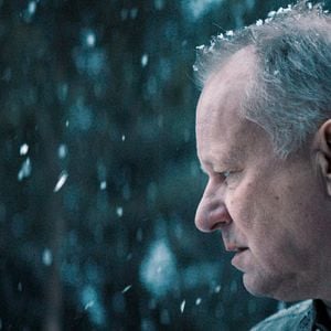 Foto Cavalos Roubados