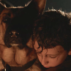 Foto A História de um Cachorro Judeu