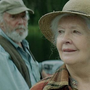 Foto Il Pleuvait Des Oiseaux