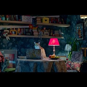 Foto Meu "Querido" Elfo