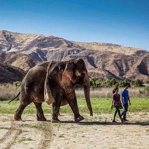 Foto Uma Grande Amizade