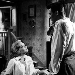 Foto Almas em Leilão