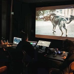 Foto Cães do Espaço