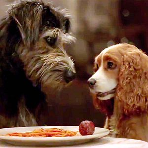 Foto A Dama e o Vagabundo