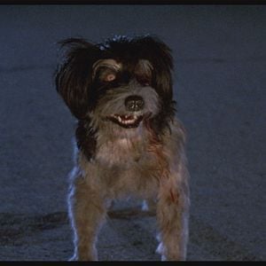 Foto A Noite dos Arrepios