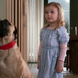 Foto Brincando com Fogo