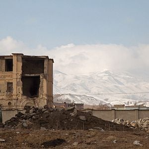 Foto PJ Harvey: Um Cão Chamado Dinheiro