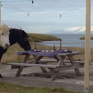 Foto Um Dia Muito Claro