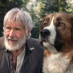 Foto O Chamado da Floresta