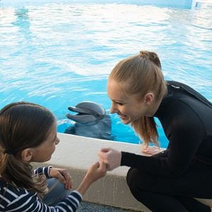 Foto Bernie, O Golfinho