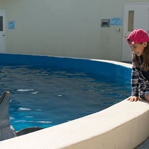 Foto Bernie, O Golfinho