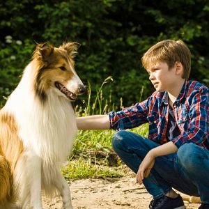 Foto Lassie: De Volta Para Casa