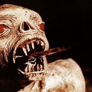 Foto Estranhas Metamorfoses