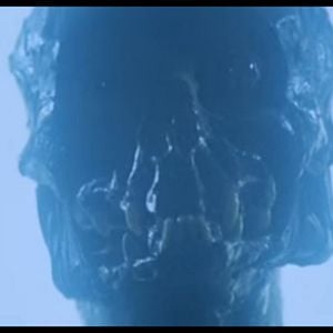 Foto Estranhas Metamorfoses