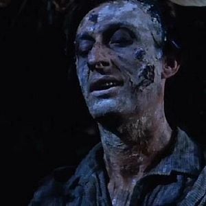 Foto Estranhas Metamorfoses