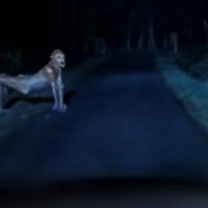 Foto Estranhas Metamorfoses