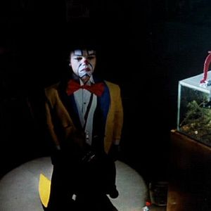 Foto Estranhas Metamorfoses