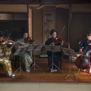 Foto Pássaro do Oriente