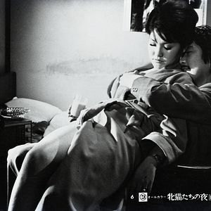 Foto Noite das Felinas