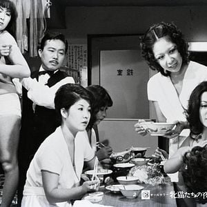 Foto Noite das Felinas