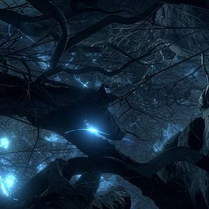 Foto Fungos Fantásticos