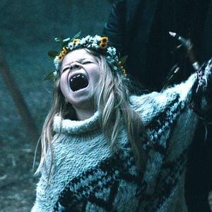 Foto Sangue de Pelicano