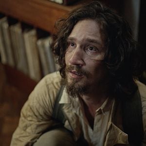 Foto Um Animal Amarelo