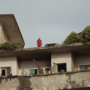 Foto Um Animal Amarelo