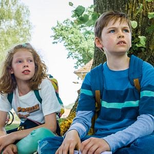 Foto Lassie: De Volta Para Casa