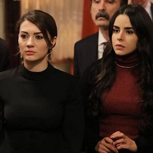 Foto Armadilha do Amor