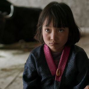 Foto A felicidade das pequenas coisas