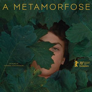 Foto A Metamorfose dos Pássaros