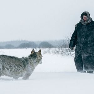 Foto A Sombra de Stalin