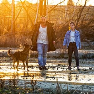 Foto A Bluebird in My Heart