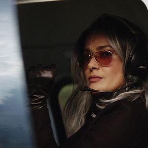 Foto The Hummingbird Project