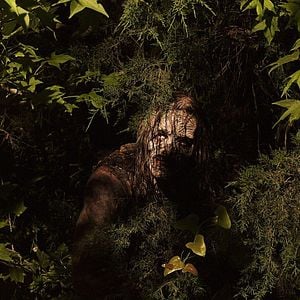 Foto The Walking Dead