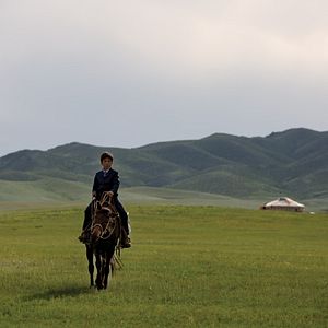 Foto Veins Of The World