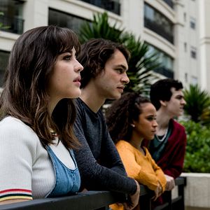 Foto Sobre Girassóis