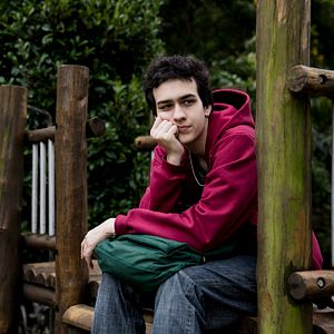 Foto Sobre Girassóis