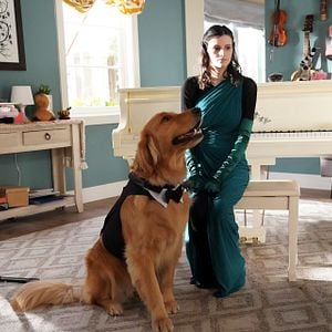 Foto Everything's Gonna Be Okay