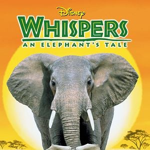 Foto O Elefantinho de Coração Valente